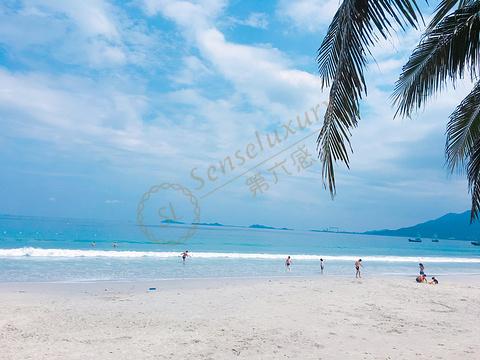 芽庄最美的景，一定这几个月去看！4