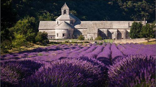 普罗旺斯除了薰衣草，还有这几个景点值得玩！6