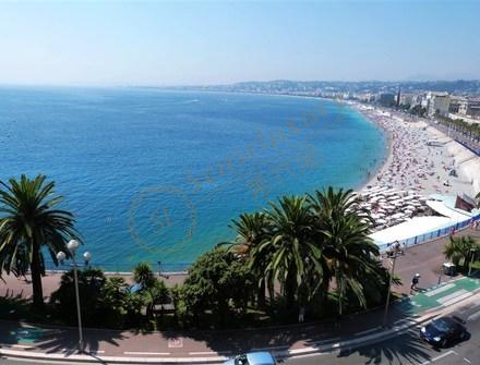 来普罗旺斯旅游,看薰衣草时还要注意这几件事!4