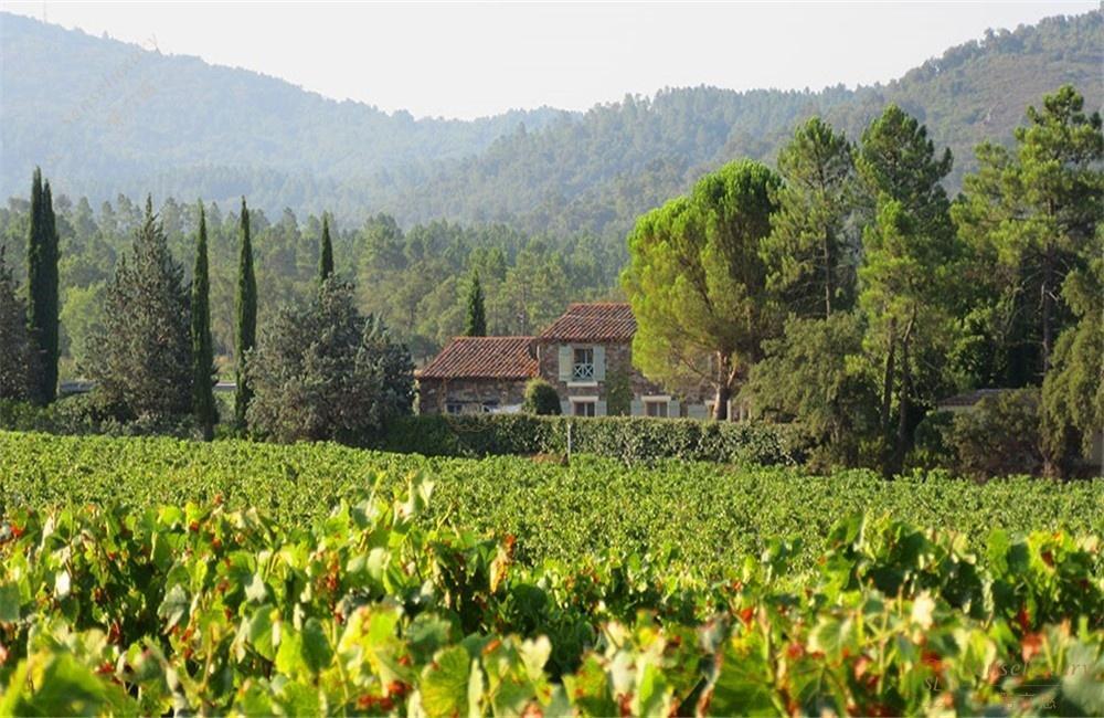 来普罗旺斯旅游，住这几个别墅就对了！5