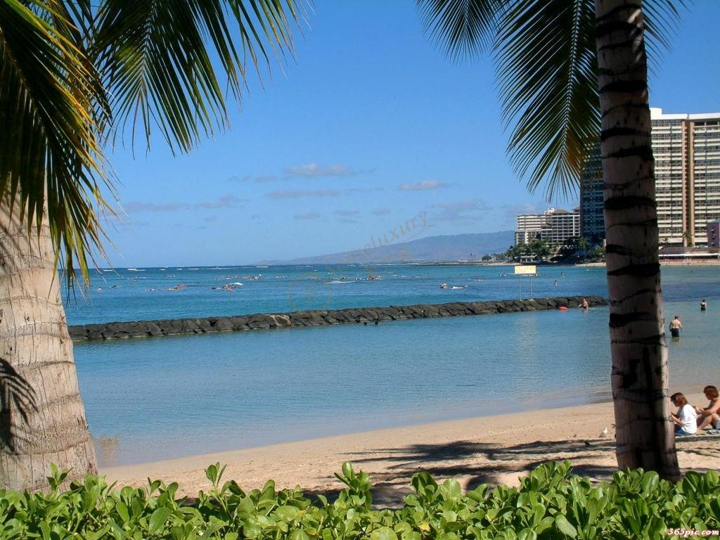 去夏威夷旅游五天的游记分享5
