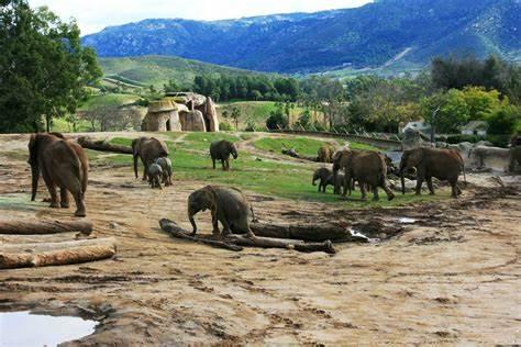 到洛杉矶旅游都有哪些必玩景点？6