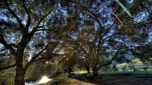 去洛杉矶度假怎么能错过电影大片的拍摄胜地呢？7