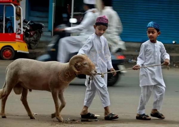 去迪拜旅游，什么时候比较合适？3