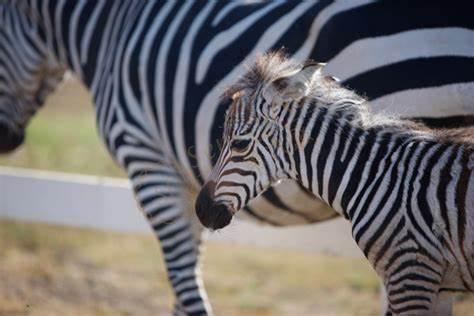 带您领略一下“天使之城”洛杉矶的热门景点3