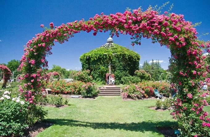 带您领略一下“天使之城”洛杉矶的热门景点6