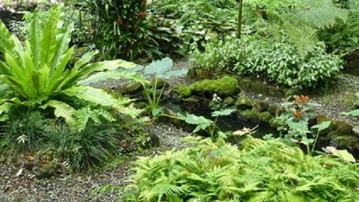 选择去斐济旅游，都有哪些好玩的旅游景点？3