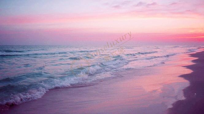 大溪地最新最全攻略大全，一定要收藏好7