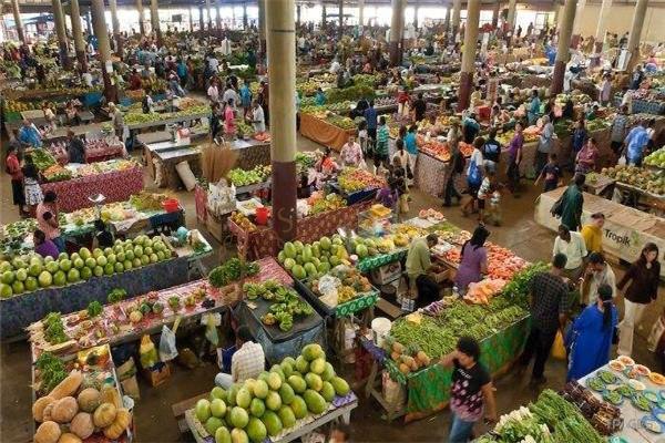 裴济2020最新最全旅游攻略，享受环岛游6