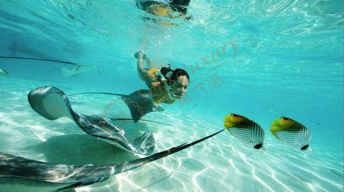 大溪地都有哪些有趣的娱乐活动？2