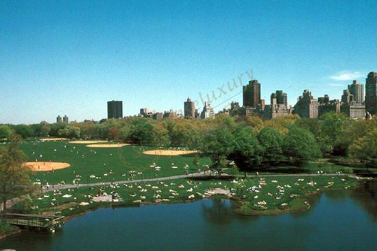 去美国纽约度假，都有哪些好玩的景点？2