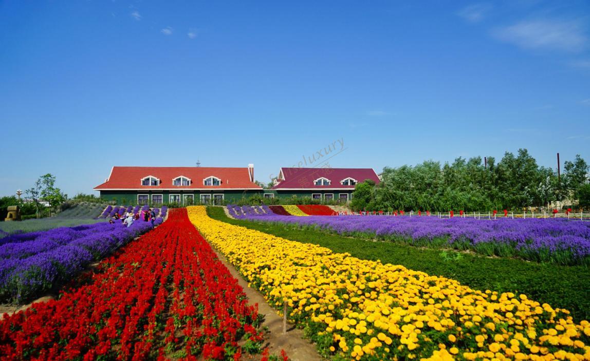 法国轻奢之旅，普罗旺斯旅游消费清单2