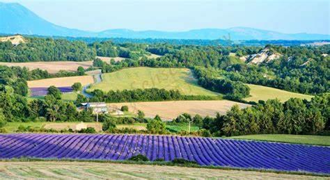 法国轻奢之旅，普罗旺斯旅游消费清单3
