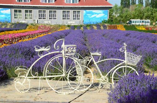 法国轻奢之旅，普罗旺斯旅游消费清单6