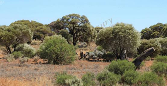 分享一条绝美的南澳大利亚自驾线路5