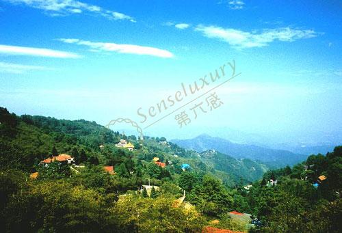 莫干山旅游攻略分享，暂寻片刻的清静7