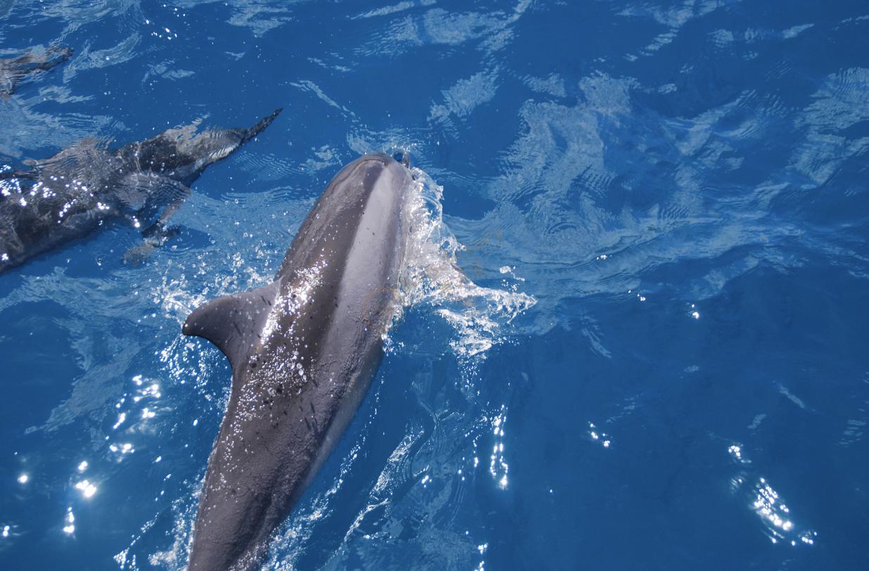 步步为景的毛里求斯，这几个景点要先去！6