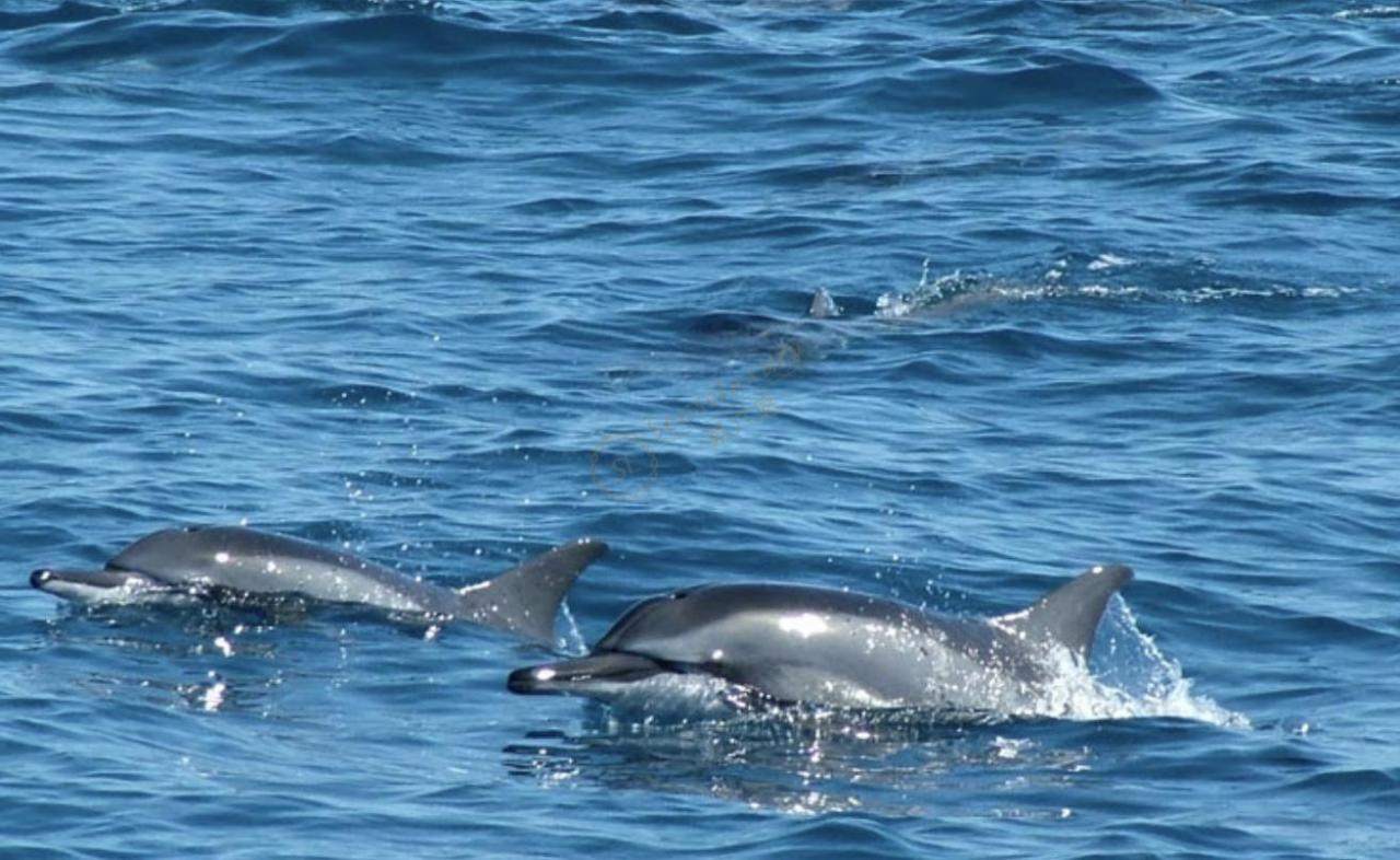 毛里求斯2020玩法升级，毛里求斯最新旅游攻略3