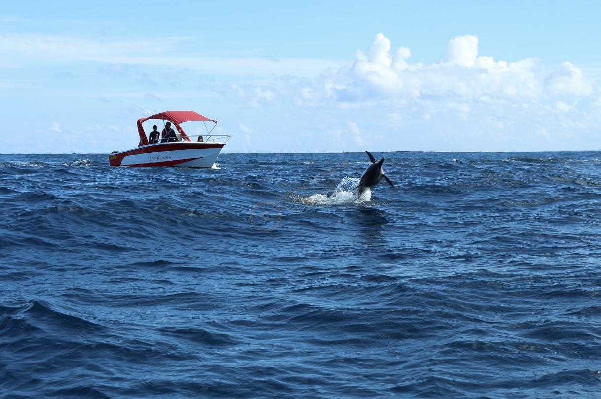 毛里求斯2020玩法升级，毛里求斯最新旅游攻略4