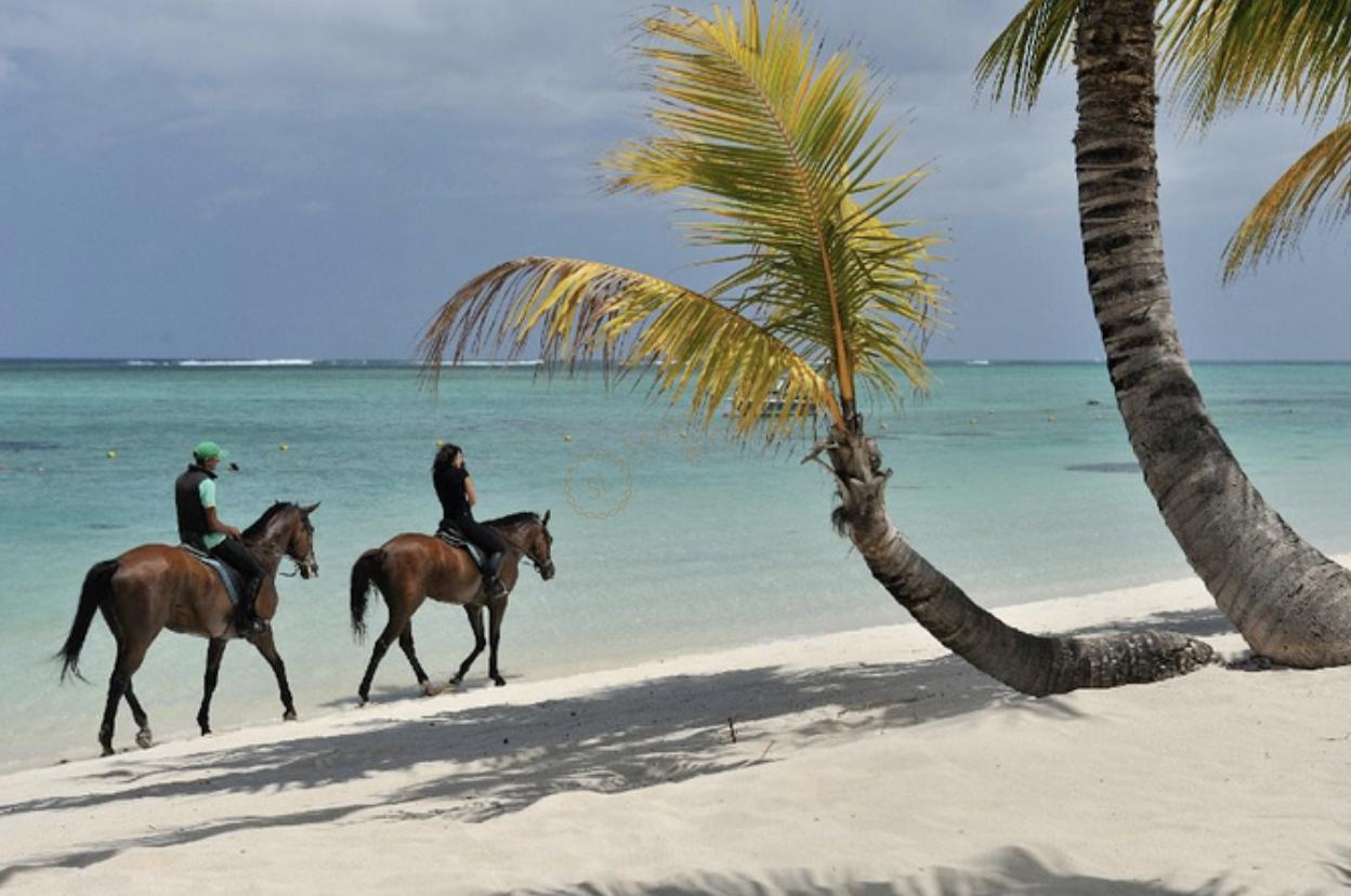 毛里求斯2020玩法升级，毛里求斯最新旅游攻略6