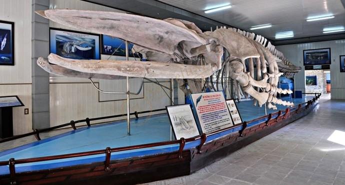 芽庄自由行攻略，从住宿到路线5