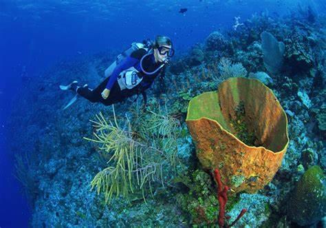 第一次自己安排行程的芽庄旅行,期待下一次6