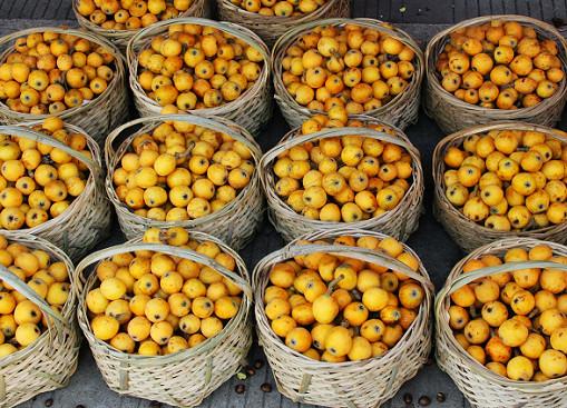 2020莫干山最新旅游攻略大全4