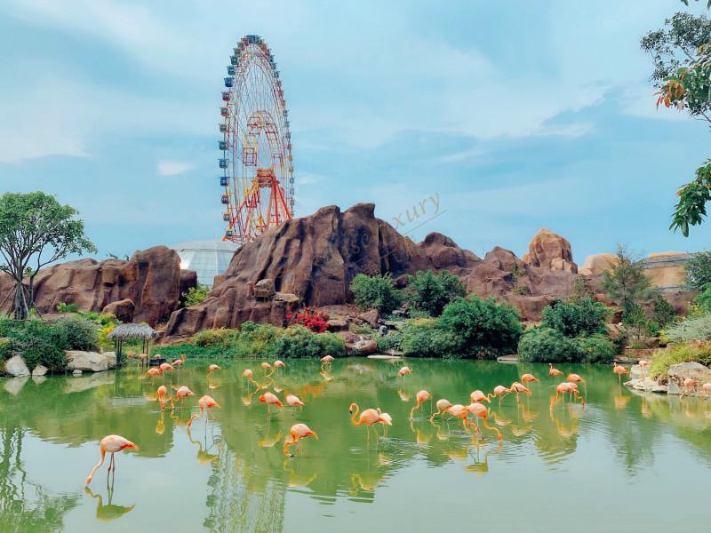 芽庄3日之旅，享受不一样的假期6