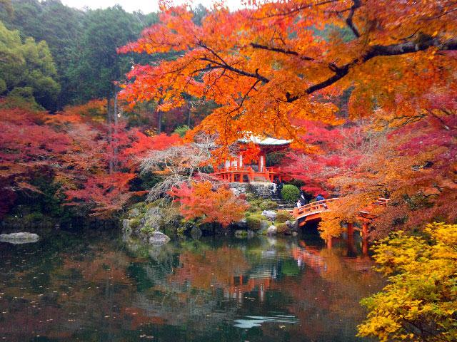 去日本京都游玩该如何挑选交通出行方式?4