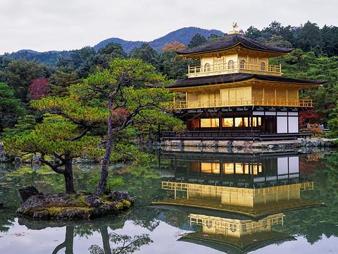 日本人的心灵故乡，京都必游景点TOP53