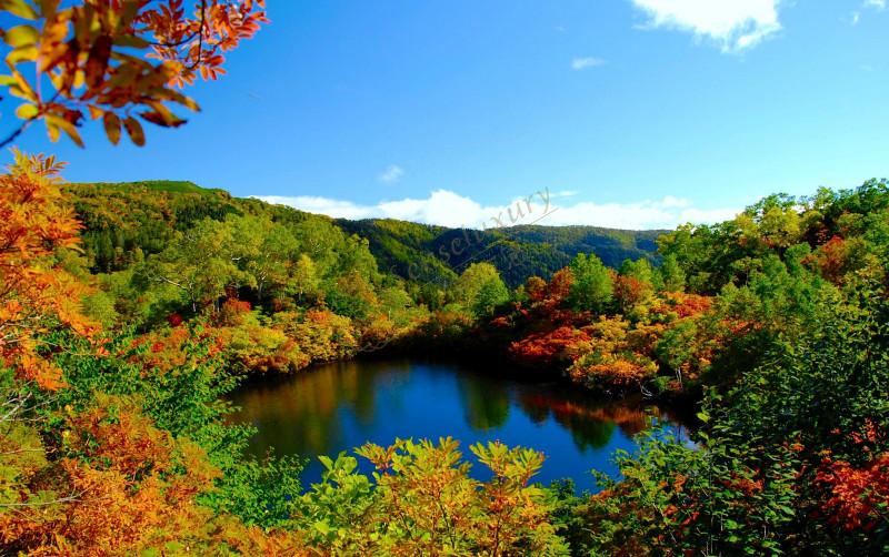 说一些个人北海道旅游之后的经验吧2