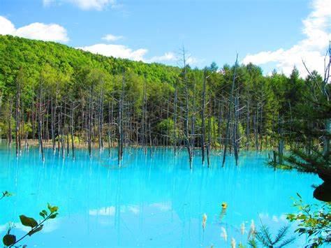 说一些个人北海道旅游之后的经验吧3