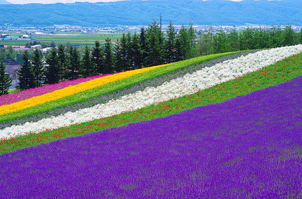 北海道旅游注意事项，出发前必须知道这些！4