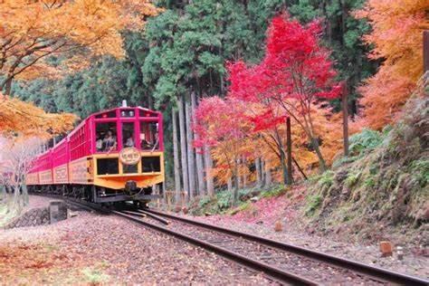 去京都赏枫，岚山是一个不错的选择2