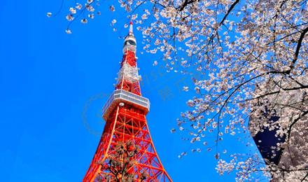 在东京旅游的同时，有些风俗习惯希望大家注意4
