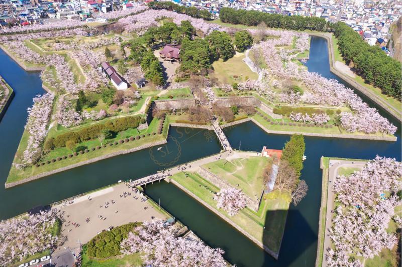 北海道经典6日自由行,值得用脚步去丈量的美6