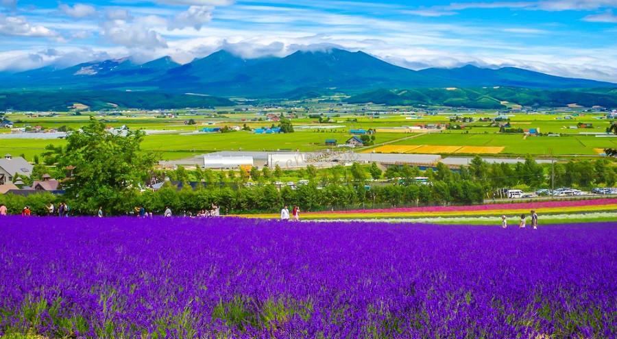 在北海道邂逅不一样的美，北海道旅游攻略4