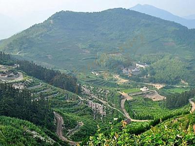 莫干山的西坡山乡,重拾那份宁静而致远4