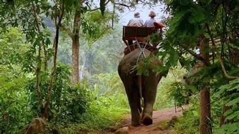 泰国甲米都有哪些好玩的娱乐项目？6