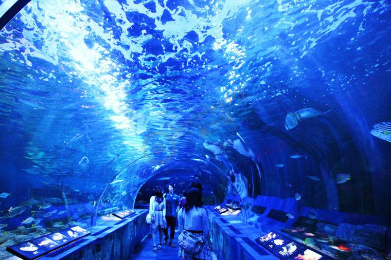 十一国庆东京亲子游五个最佳去处3