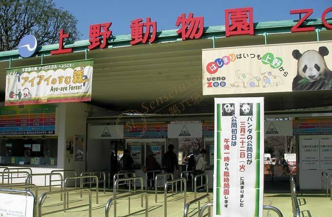 十一国庆东京亲子游五个最佳去处4