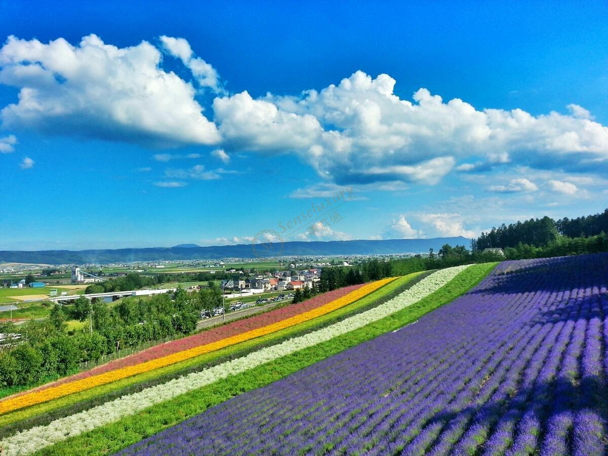 北海道旅游费用，吃住行费用清单全在这里！1