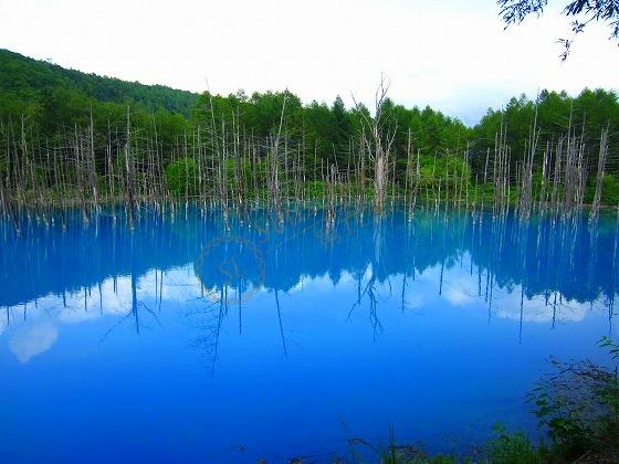 北海道是一个非常适合一家人度假的首选地2