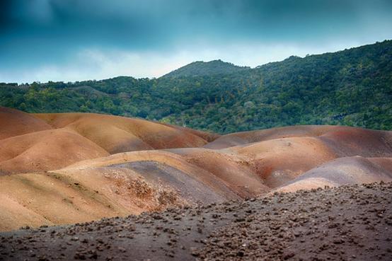 去毛里求斯度假不可错过几件事!3