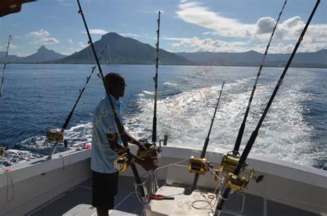 去毛里求斯度假不可错过几件事!6