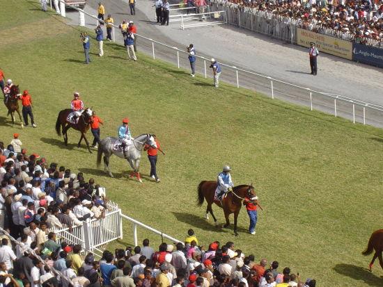 去毛里求斯度假不可错过几件事!8