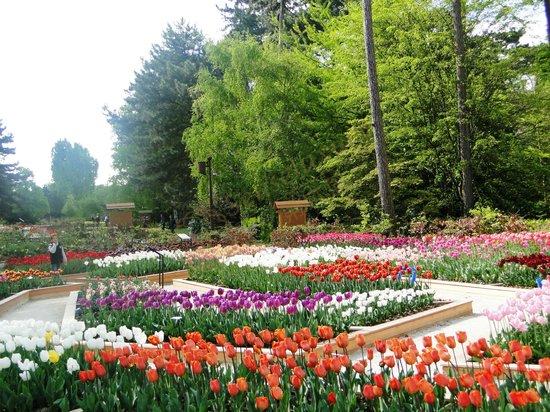 巴黎旅游攻略，去那度假简直就是一种享受5