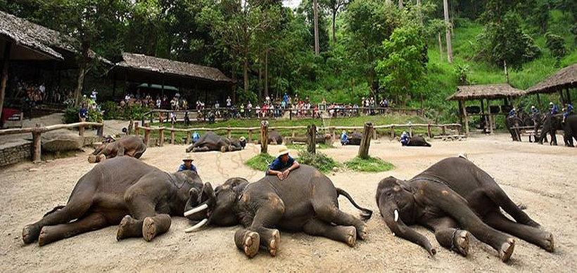 分享一下在清迈游玩的点点滴滴3