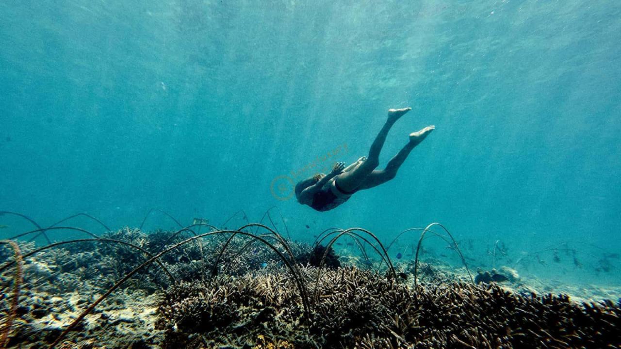 说说在塞舌尔旅途中的一些著名景点3