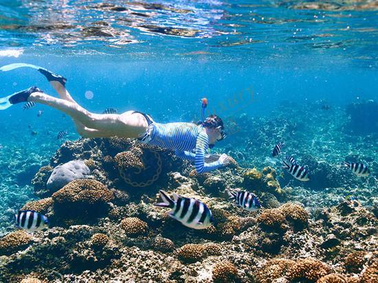 塞舌尔有哪些好玩的探险项目推荐?1